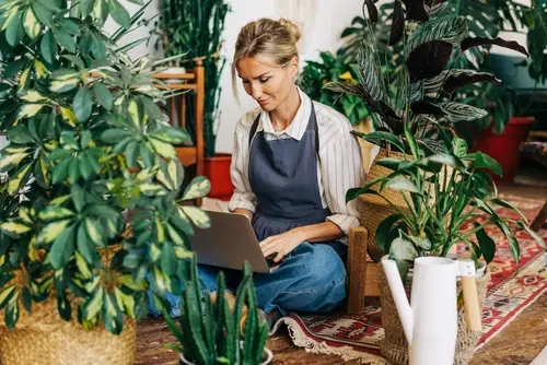 Cultiver des plantes en terre de bruyère
